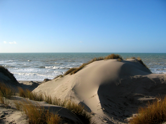 Dunes in Fort Mahon Plage
