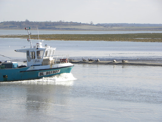 Fishing boat Saint Valéry